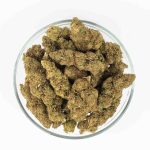 Lemon Cherry Gelato Nano 10 Kvety – Obrázok 2