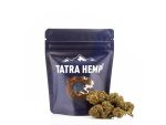 Blue Dream Nano 10 Kvety (indoor)