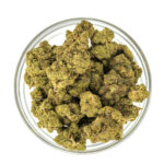Biscotti Nano 11 kvety – Obrázok 2